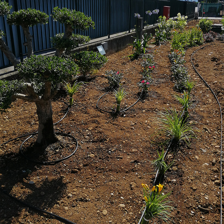 realizzazione_giardini